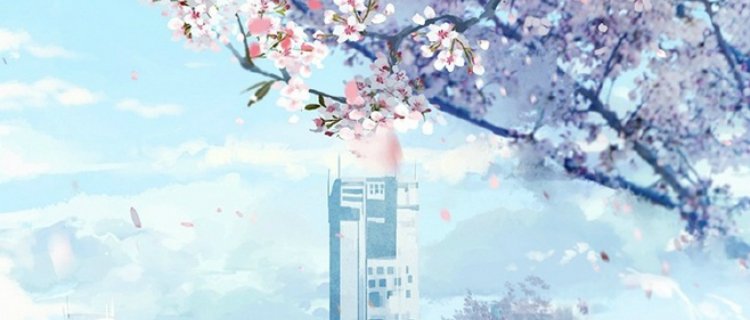 其实你可以说“不”