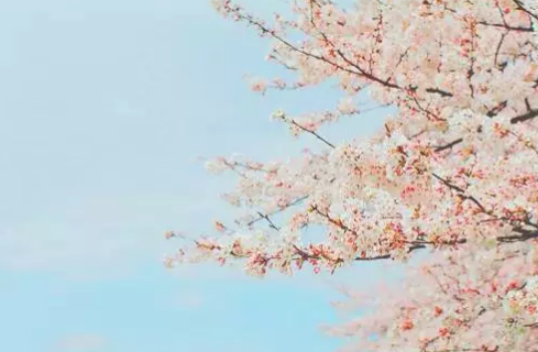 测试